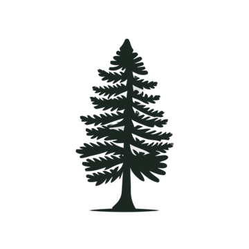 фото растения