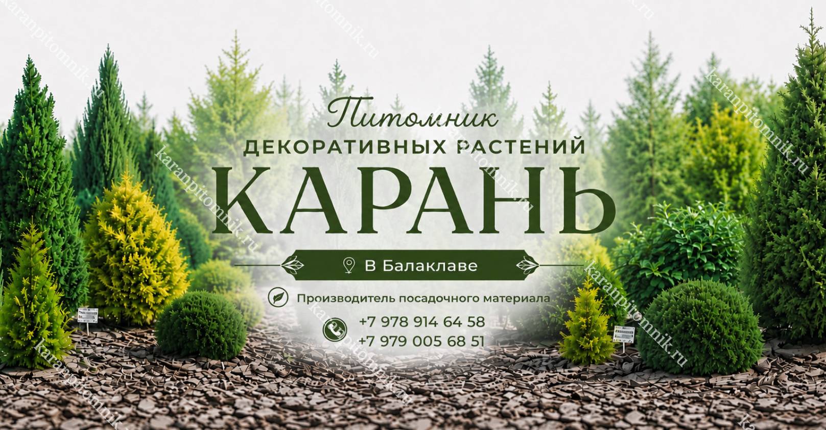 питомник карань